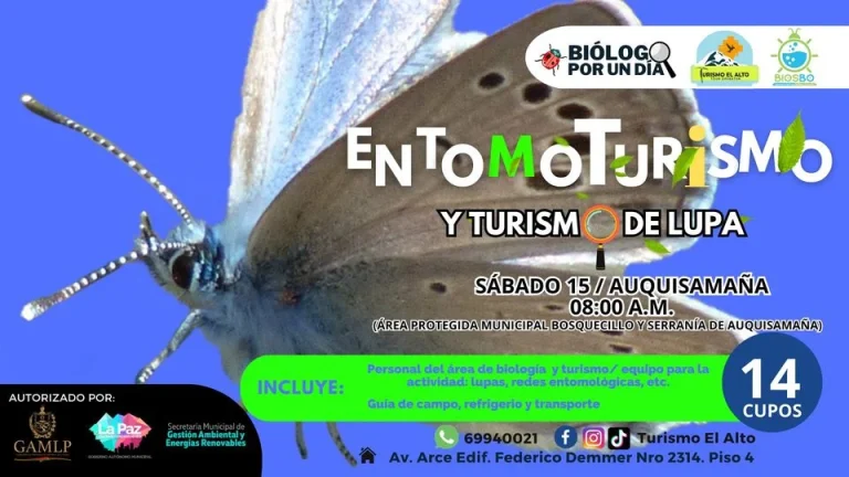 ENTOMOTURISMO Y TURISMO DE LUPA, en La Paz, el 15/abril.