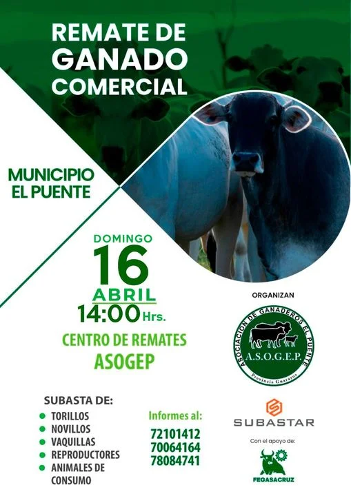 REMATE DE GANADO COMERCIAL, en Santa Cruz, el 16/abril.