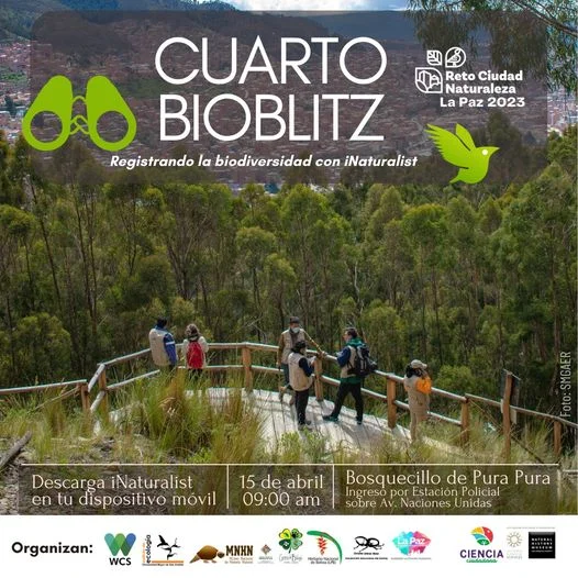 REGISTRO DE VIDA SILVESTRE EN BOSQUECILLO DE PURA PURA, en La Paz, el 15/abril.