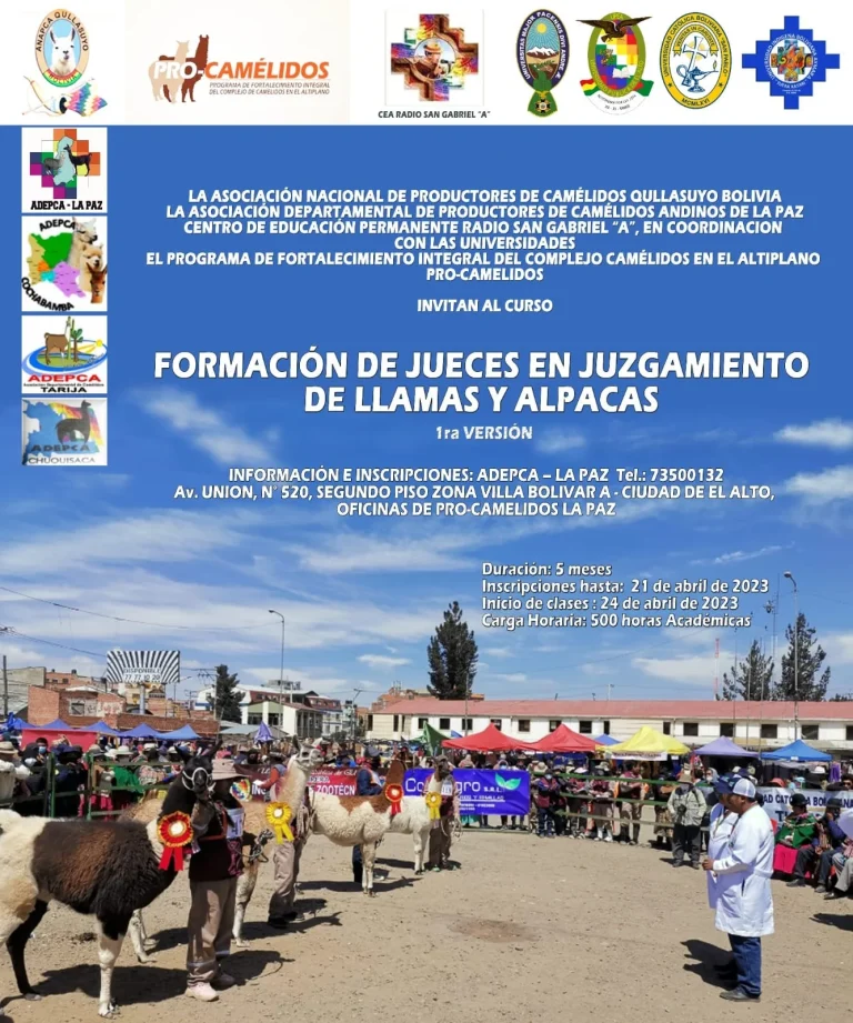 Curso FORMACION DE JUECES EN JUZGAMIENTO DE LLAMAS Y ALPACAS,