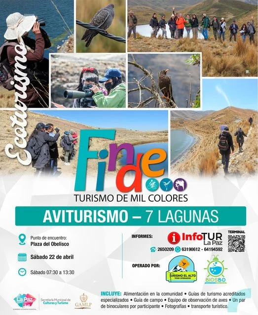 DÍA SÁBADO 22: AVITURISMO EN LA COMUNIDAD ECOTURISTICA DE “7 LAGUNAS” DONDE PODRÁS OBSERVAR CON EQUIPO ESPECIALIZADO LAS MÁS DE 19 ESPECIES QUE HABITAN EN EL SECTOR - DOMINGO 23: VISITAREMOS EL BOSQUECILLO DE AUQUISAMAÑA DONDE REALIZAREMOS EL TURISMO DE LUPA – ENTOMOTURISMO, PODRAS ADENTRARTE Y CONOCER EL MICROCOSMOS PARA DESCUBRIR EL MUNDO INVISIBLE DE LOS INSECTOS Y ARTRÓPODOS CON BIÓLOGOS PROFESIONALES Y EQUIPO ESPECIALIZADO PARA LA ACTIVIDAD - .TURISMO EL ALTO.