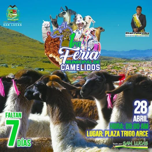 FERIA MUNICIPAL DE CAMÉLIDOS, en Chuquisaca, el 28/abril.