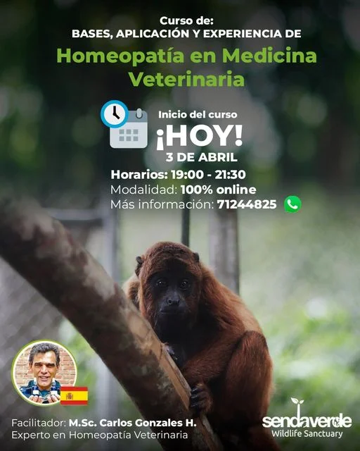 Ab_3_Curso-Bases-db3
