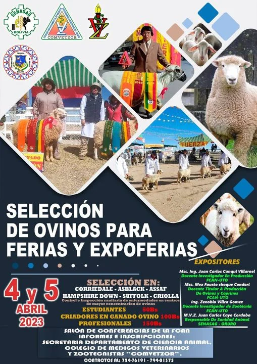 Ab_3_Curso-SELECCION-OVINOS-c91