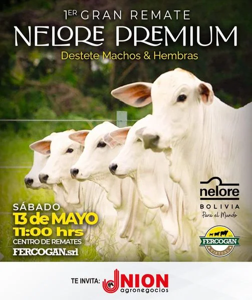 REMATE NELORES PREMIUM, en Santa Cruz, el 13/mayo.