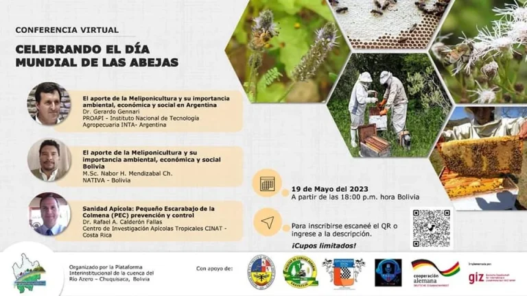 Conferencia DÍA MUNDIAL DE LAS ABEJAS, virtual, el 19/mayo.