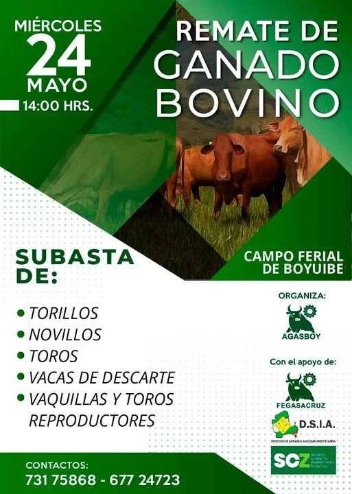 REMATE DE GANADO COMERCIAL, en Santa Cruz, el 24/mayo.