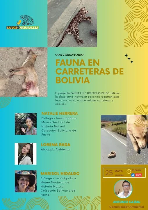 FAUNA EN CARRETERAS DE BOLIVIA, virtual ,el 25/mayo.