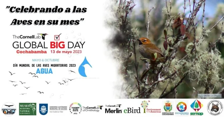 CELEBRANDO A LAS AVES, en Cochabamba, el 13/mayo.