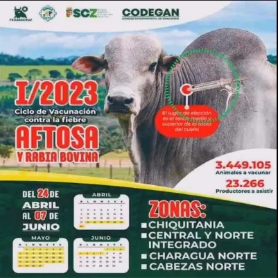 VACUNACIÓN – FIEBRE AFTOSA, en Santa Cruz, hasta el 7/junio.