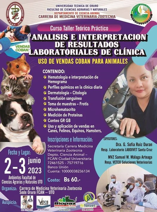 Taller ANÁLISIS E INTERPRETACIONES, en Oruro, el  2 y 3/junio.
