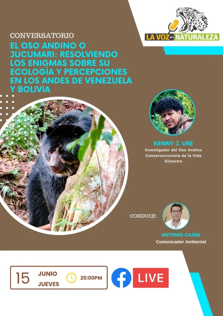 Conversatorio EL OSO ANDINO, virtual, el 15/junio.