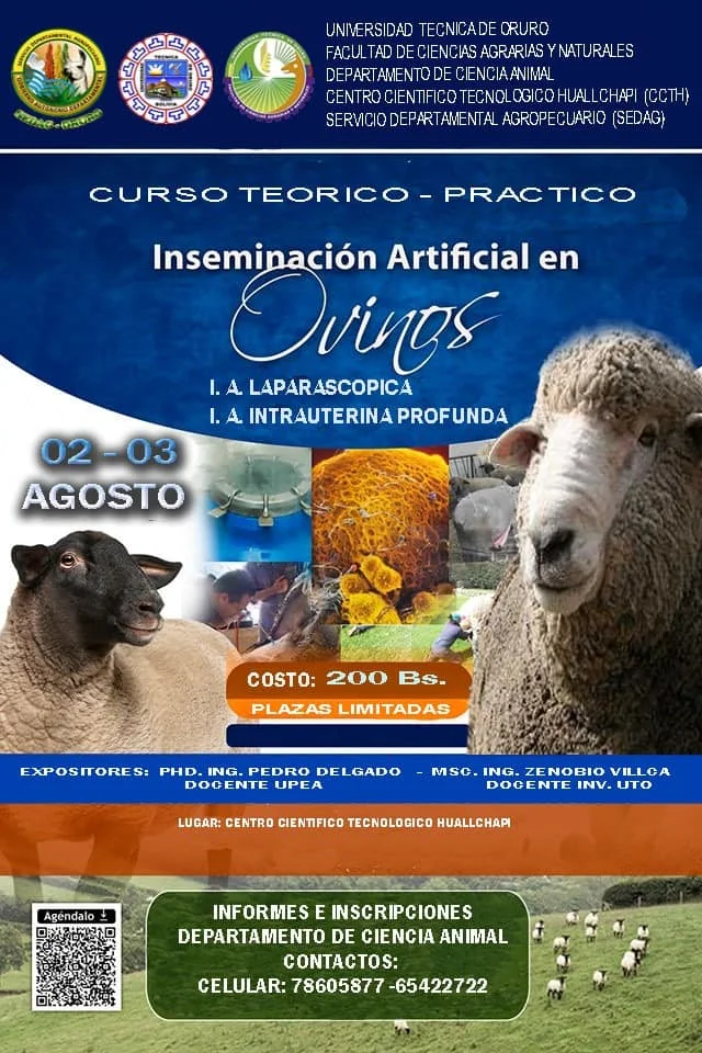 Curso INSEMINACIÓN ARTIFICIAL OVINOS, en Oruro, el 2 y 3/agosto.