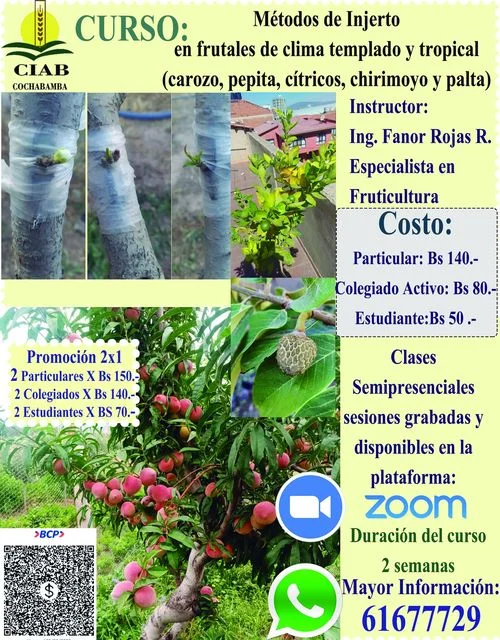 Curso MÉTODOS DE INJERTO, Cochabamba.