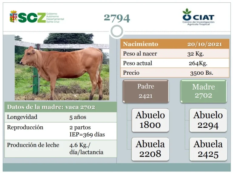 FERIA PRODUCTIVA AGROPECUARIA, en Chuquisaca, el 13 y 14/julio.
