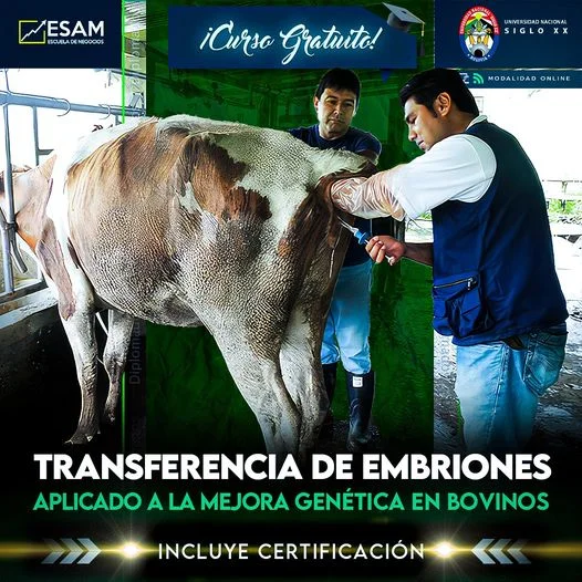 15_24_CURSO-TRASNFORMACION-1a7