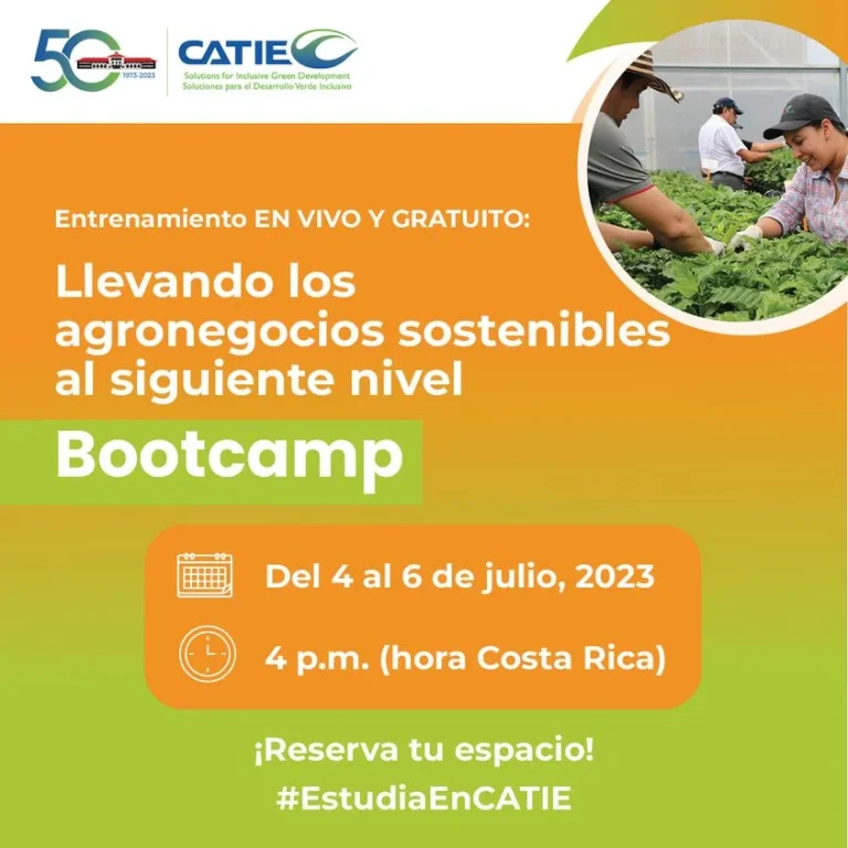 BOOTCAMP, virtual, el 4 al 6/julio.