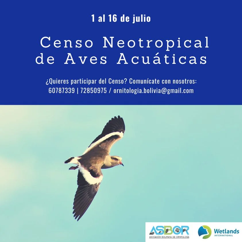 6_3_CENSO-NEOTROPIC-6ef
