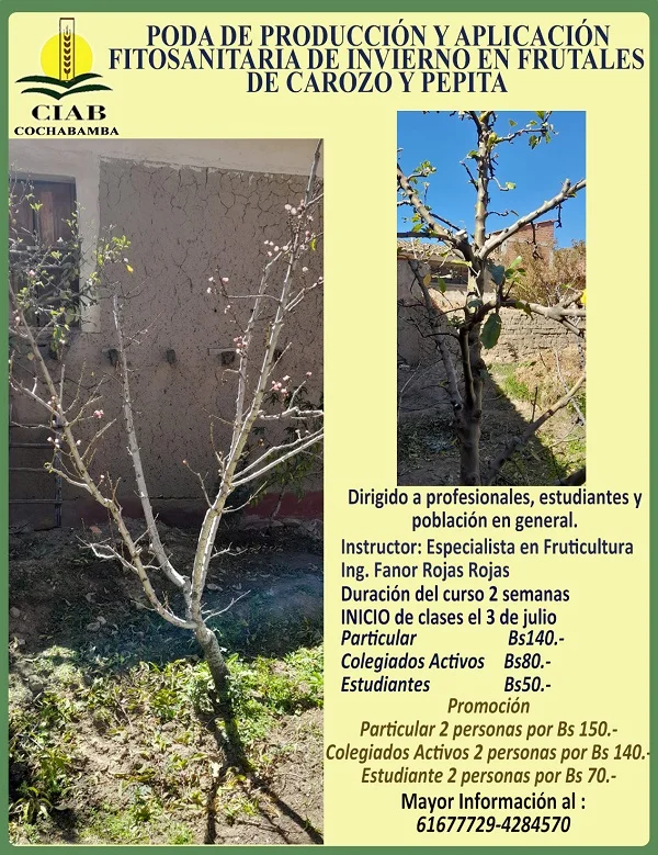 Curso PODA FITOSANITARIA DE INVIERNO, en Cochabamba, inicia 3/julio.