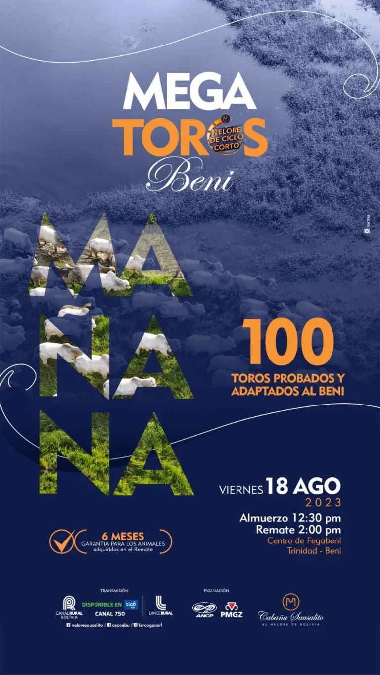MEGATOROS DEL BENI, en Beni, el 18/agosto.