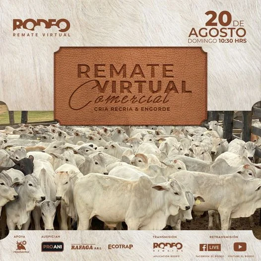 REMATE DE GANADO, virtual, el 20/agosto.