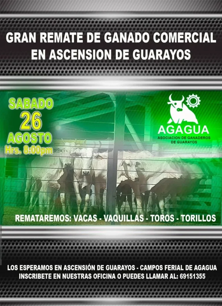 REMATE GANADO COMERCIAL, en Santa Cruz, el 26/agosto.