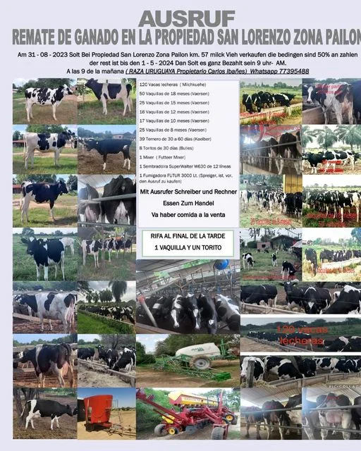 REMATE DE GANADO,  en Santa Cruz, el 31/agosto.