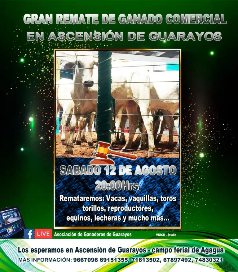 REMATE DE GANADO, en Santa Cruz, el 12/agosto.