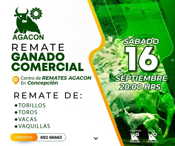 REMATE DE GANADO COMERCIAL, en Santa Cruz, el 16/sept.