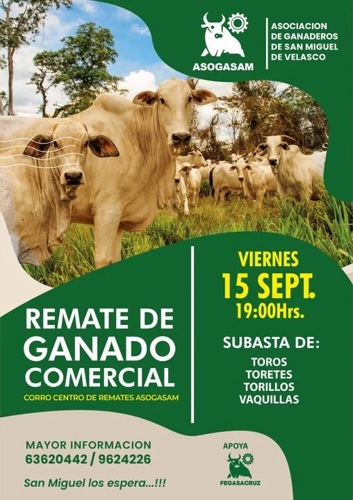 REMATE DE GANADO, en Santa Cruz, el 15/sept.