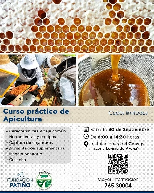 Curso APICULTURA, en Cochabamba, el 30/sept.