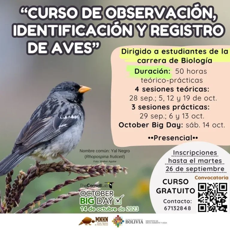 Curso IDENTIFCACIÓN Y REGISTRO AVES, en La Paz, inicia 26/sept.