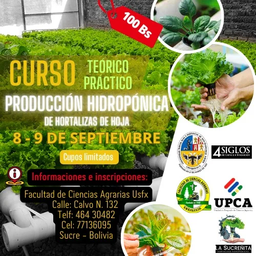 13_4_CURSO-HIDROPONIA-523