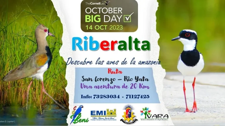 OCTOBER BIG DAY RIBERALTA, en Beni, el 14/octubre.