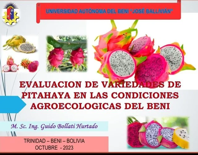 EVALUACIÓN DE VARIEDADES DE PITAHAYA, en Beni, el 18/octubre.
