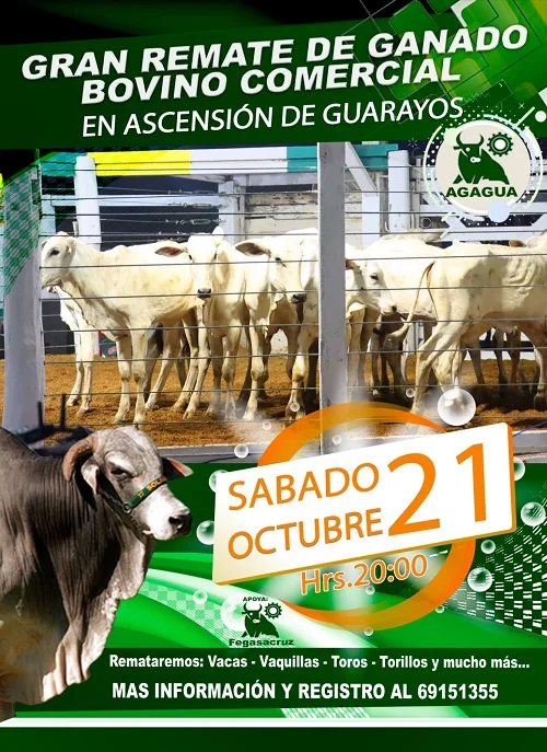 REMATE DE GANADO BOVINO, en Santa Cruz, el 21/octubre.