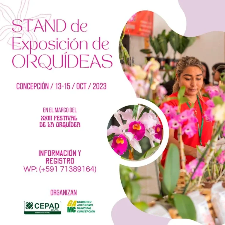 EXPOSICIÓN DE LAS ORQUIDEAS, en Santa Cruz, del 13 al 15/octubre.