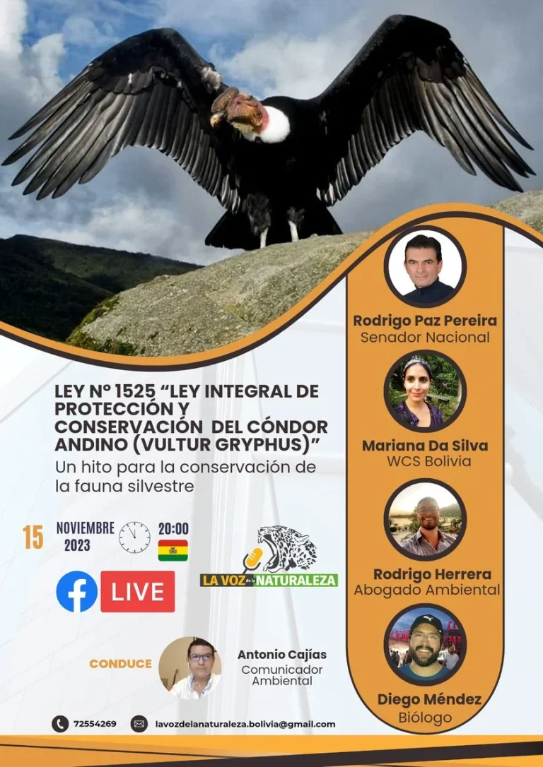 Charla LEY – CONSERVACIÓN DEL CÓNDOR ANDINO, virtual, el 15/nov.