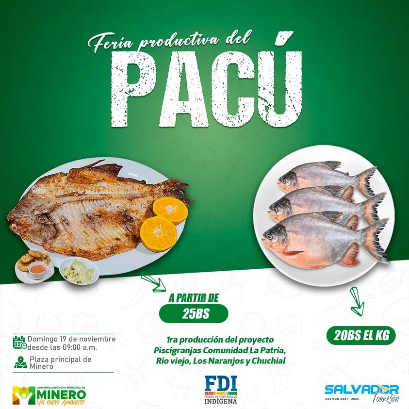 11_16_FERIA-PACU-92b