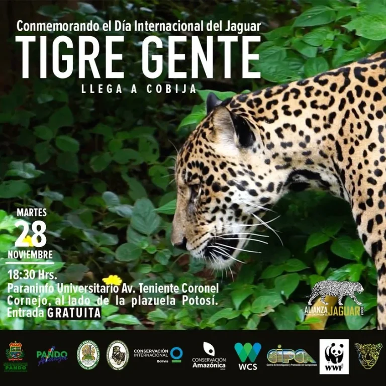 Dcoumental TIGRE GENTE, en Pando, el 28/nov.