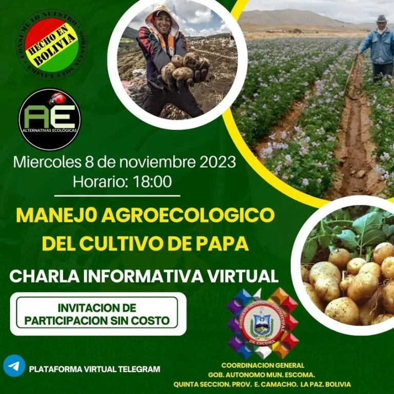 Charla MANEJO AGROECOLOGICO DE PAPA, virtual, el 8/nov.