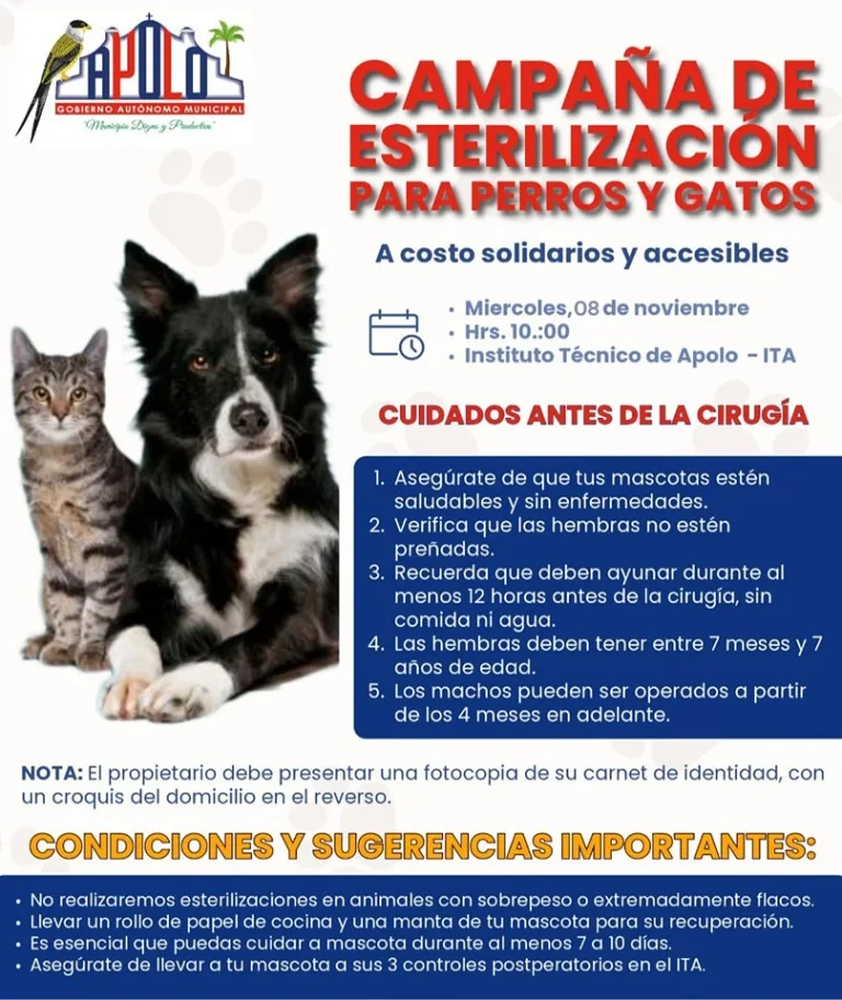 Campaña ESTERILIZACIÓN PERROS Y GATOS, en La Paz, el 8/nov.
