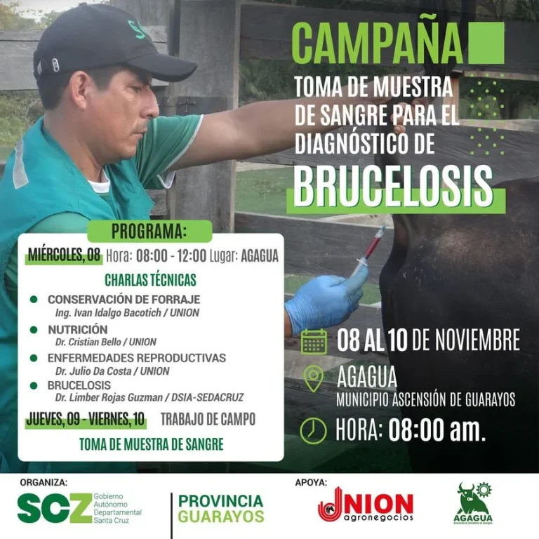 Campaña DIAGNÓSTICO DE BRUCELOSIS, en Santa Cruz, del 8 al 10/nov.