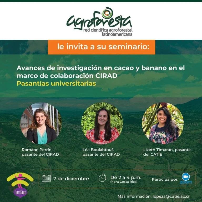 Seminario AVANCES DE INVESTIGACIÓN EN CACAO Y BANANO, virtual, el 7/dic.