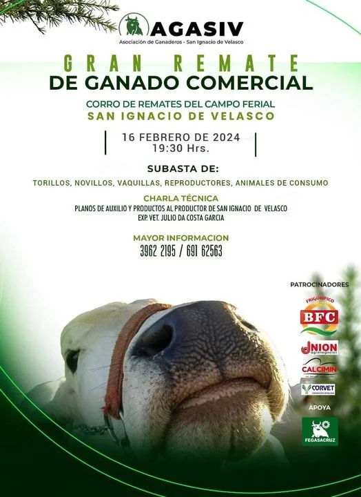 REMATE DE GANADO COMERCIAL, en Santa Cruz, el 16-feb.