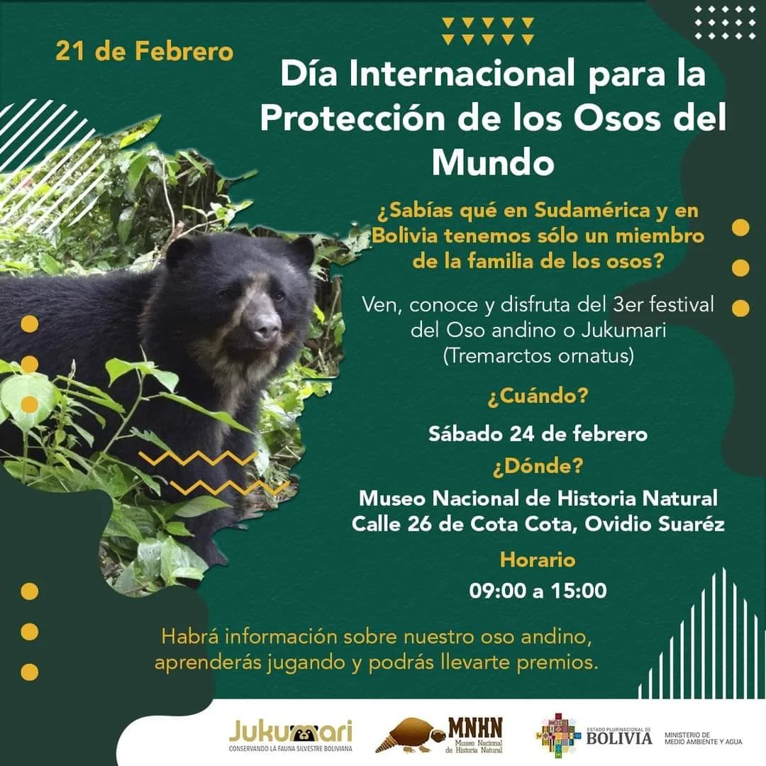 11_19_FESTIVAL-OSO-8a0