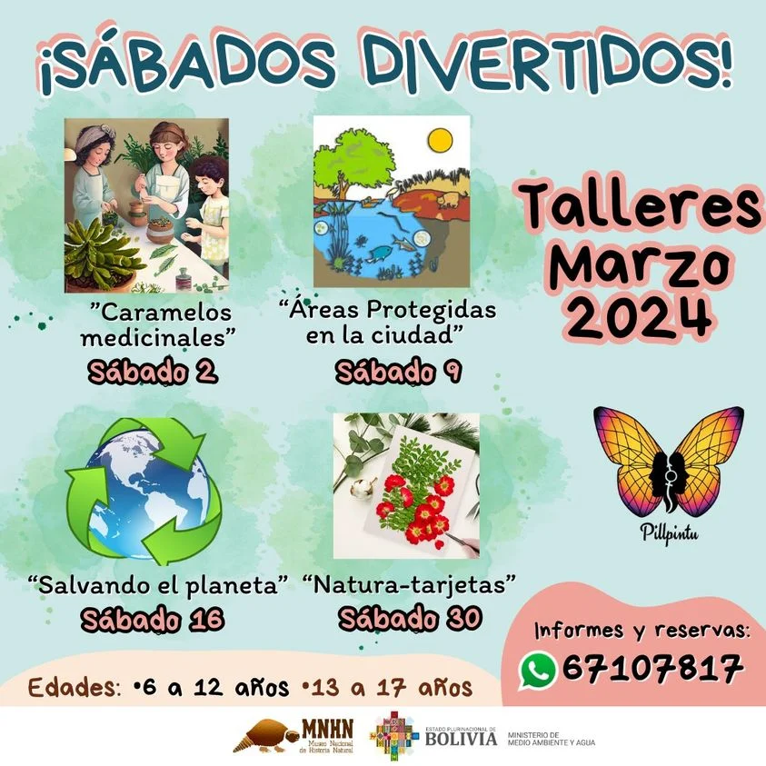 Taller SÁBADOS DIVERTIDOS en el MNHN, en La Paz, el 2-marzo 11_26_taller-SABADOS-278