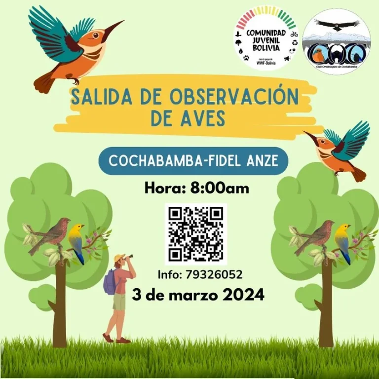 SALIDA DE OBSERVACIÓN DE AVES, en Cochabamba, el 3-marzo