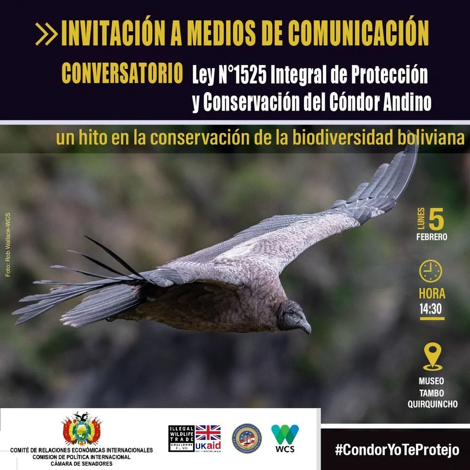 11_5_CONFER-DIA-CONDOR-da7