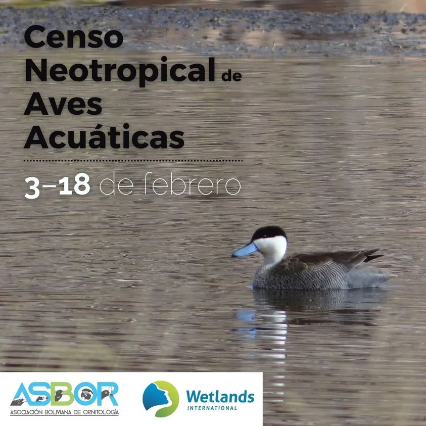 12_29_Censo-Neotropical-4d0